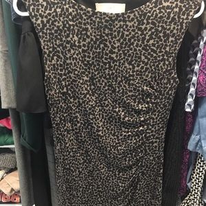 Anne Taylor Loft Dress